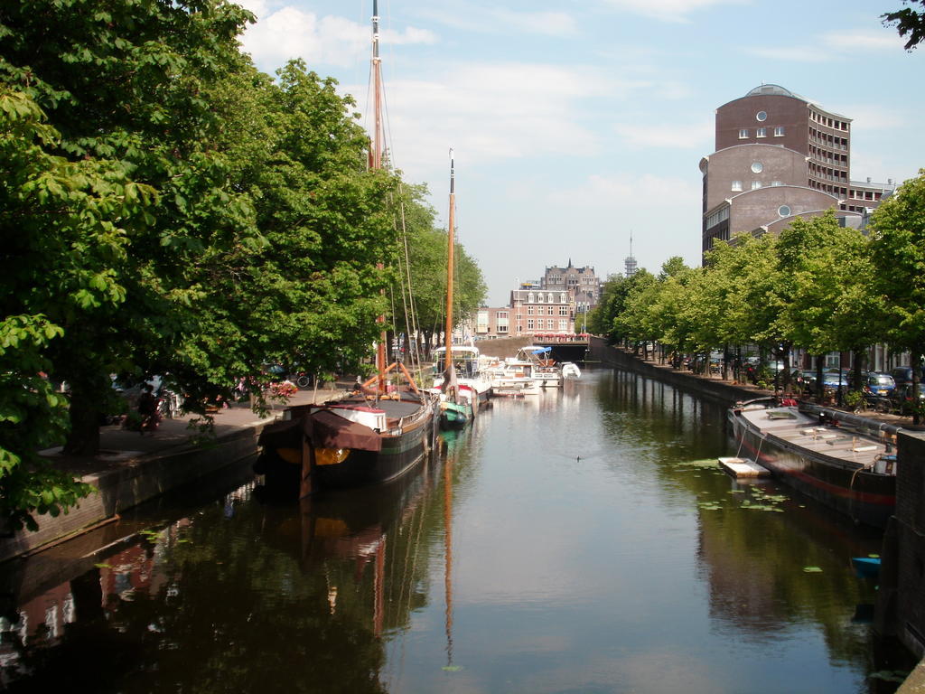 Maff The Hague